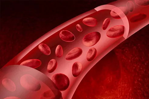 A Ray of Hope: The Relay of Life Between Dr. Sun Yuan and Xiaochen