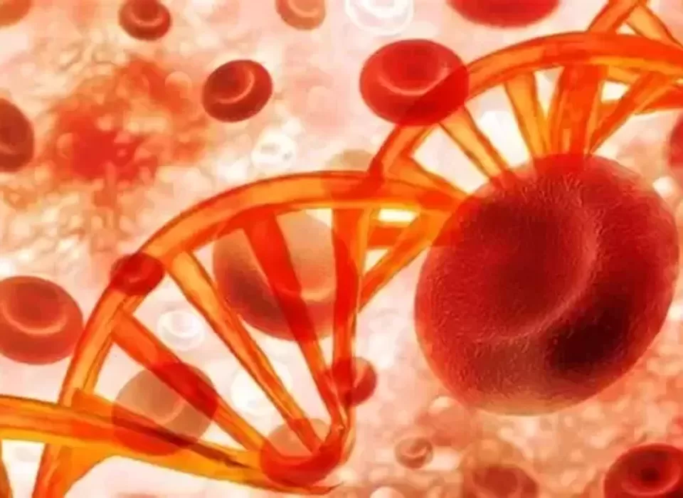 Light in the Genetic Maze: A Global Perspective on the History and Future of Shwachman-Diamond Syndrome