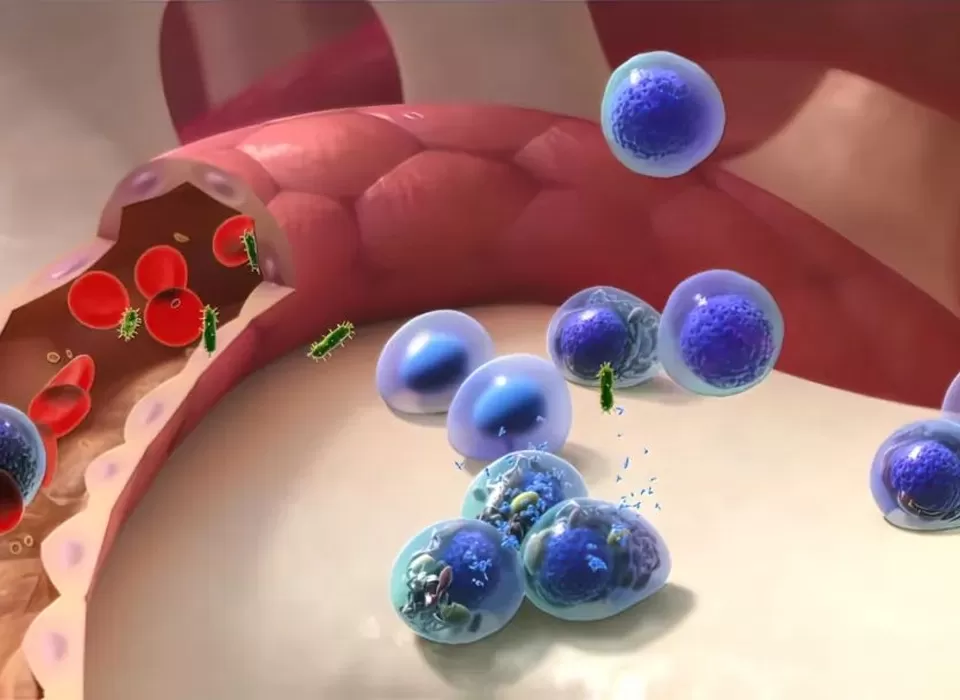 Rhabdomyosarcoma: Precision Oncology in Pediatric Sarcomas