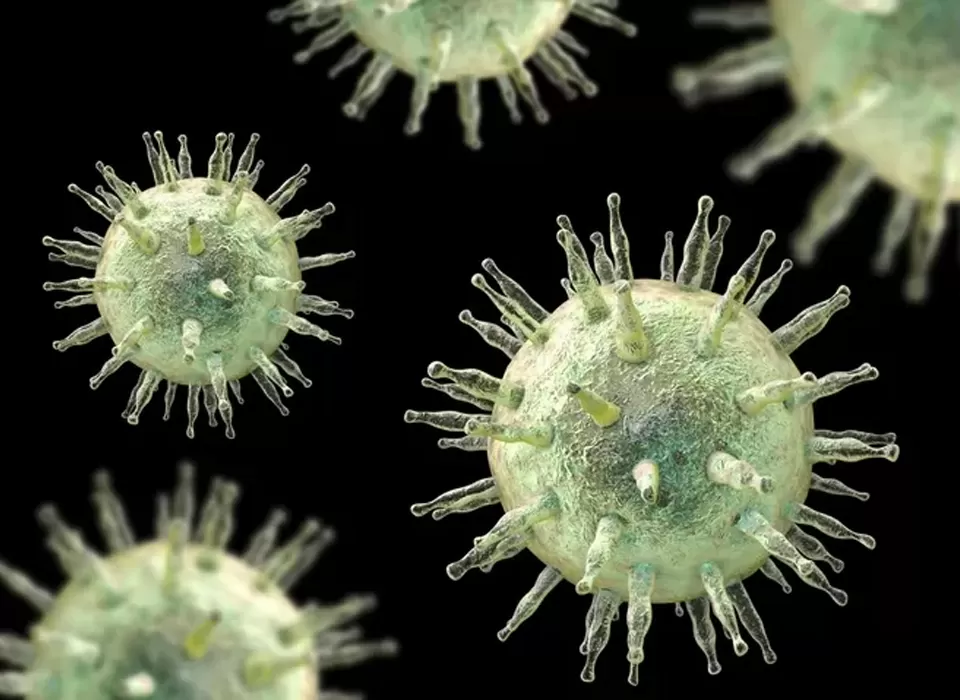 Shadows in Hiding and the Dawn of Light: A Global Chronicle of Combating Chronic Active Epstein-Barr Virus Disease